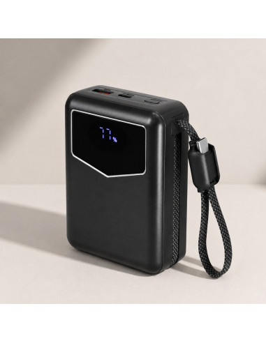 Power Bank Evron