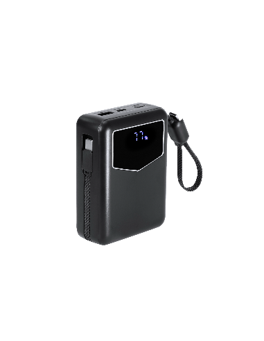 Power Bank Evron