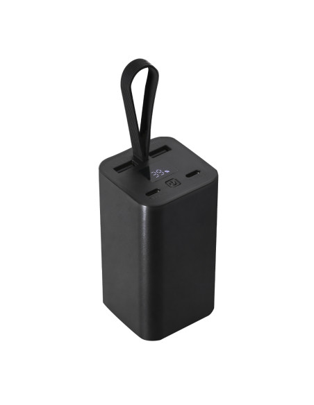 Power Bank Havor